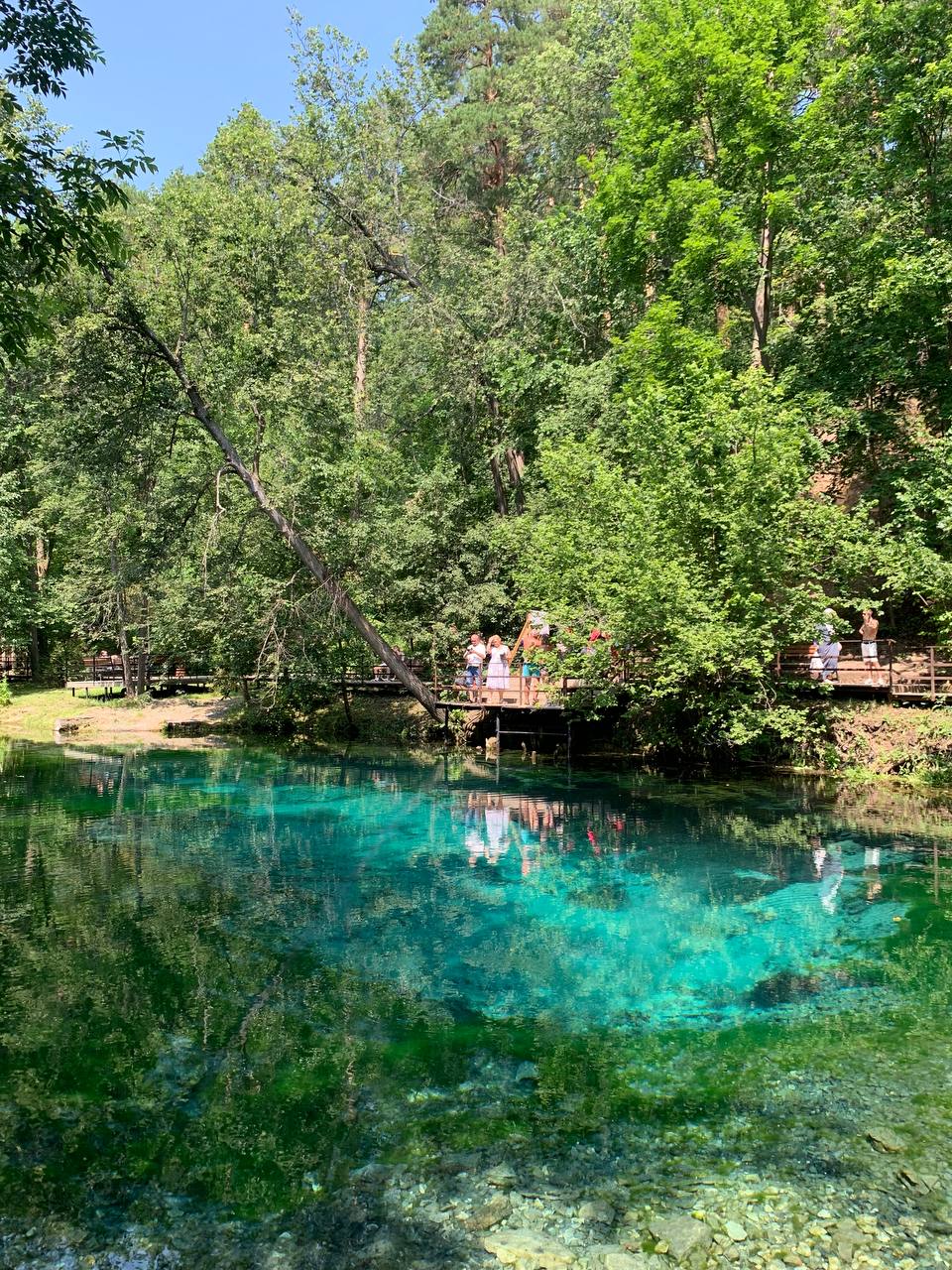 picture