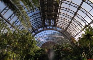 Оранжерею Таврического сада закроют на реконструкцию в 2027