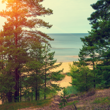 Экскурсия в мини-группе «Необыкновенная Куршская коса и прекрасный Зеленоградск»