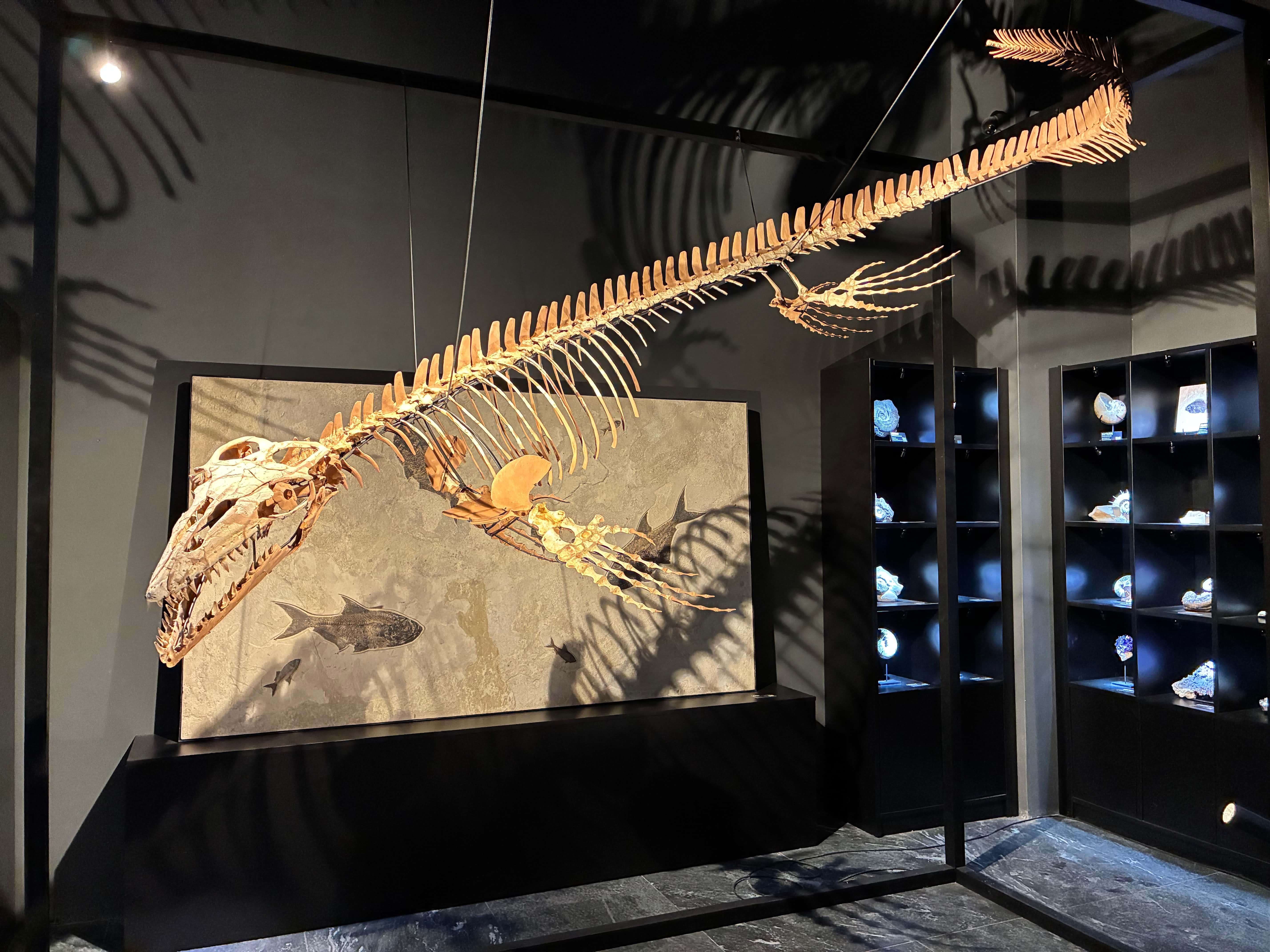 Где посмотреть на динозавров в Петербурге: топ-5 мест