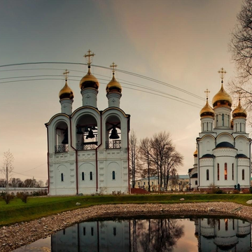 Автобусная экскурсия «Переславль-Залесский, вино, мангалица и дача Коровина»