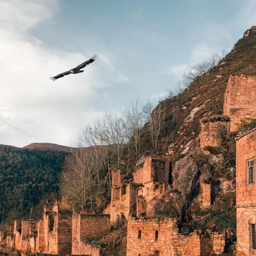 Однодневная экскурсия «Салтинское ущелье — Гамсутль»