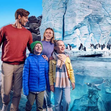 Парк развлечений SeaWorld в Абу-Даби из Шарджи