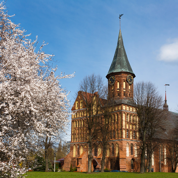 Обзорная экскурсия по Калининграду «Городской вернисаж по-пРусски» со скидкой 20%
