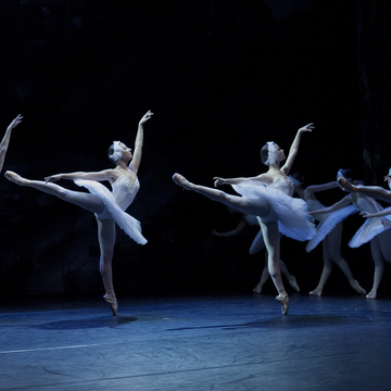 Балет «Лебединое озеро» в Эрмитажном театре со скидкой 30%