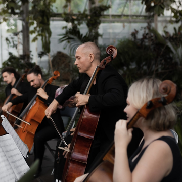 Концерт при свечах «Рок-хиты на виолончелях» в Оранжерее Таврического сада со скидкой до 35%