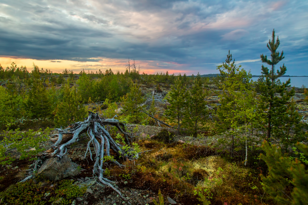 Двухдневный тур «Карельское вдохновение: Валаам, Рускеала и Ладожские шхеры» со скидкой 32%