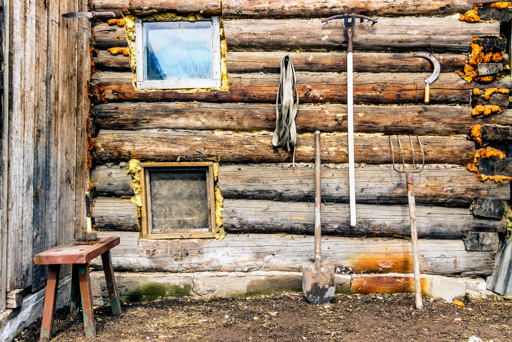 picture