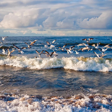 Экскурсии к морю из Калининграда со скидками до 25%