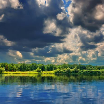 Отель «Изумрудный лес»