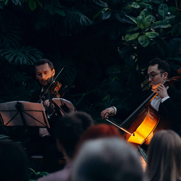 Концерт при свечах «От Баха до рок-хитов» в Оранжерее Таврического сада со скидкой 40%