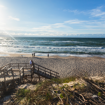 Индивидуальная экскурсия «Куршская коса, Зеленоградск и сыроварня Шаакендорф» со скидкой 20%
