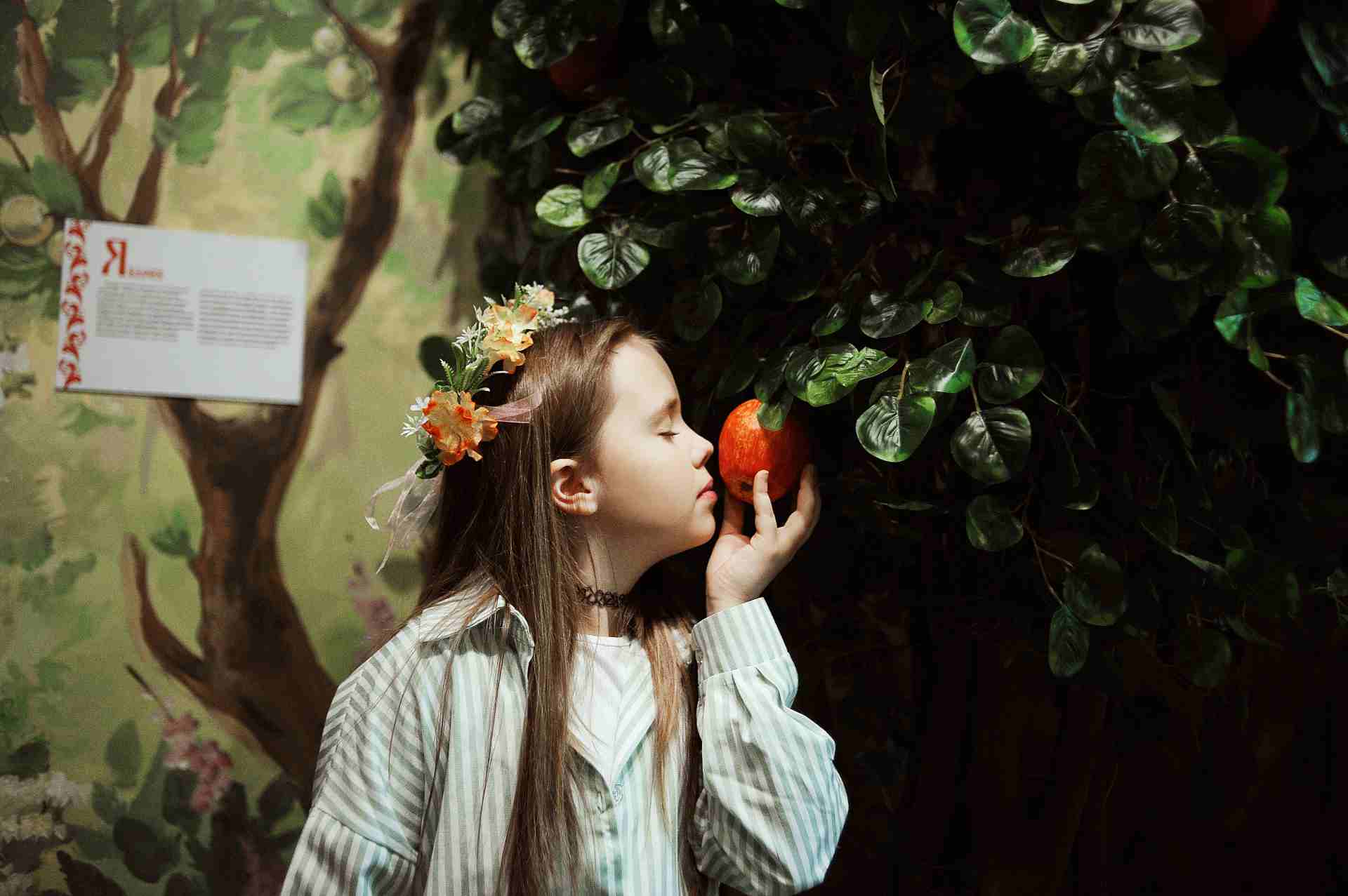 picture