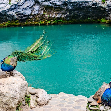 Джип-тур в Абхазию на Гегский водопад с посещением озера Рица со скидкой до 25%