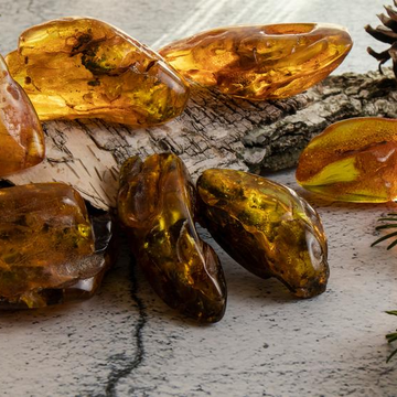 Музей янтаря «50 миллионов лет»