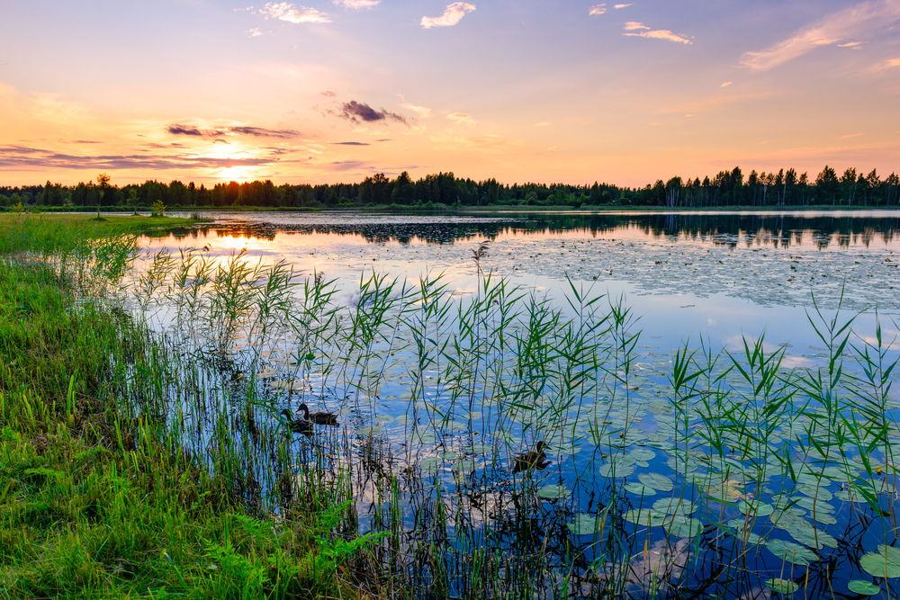 Двухдневный тур «От Причудья и Плескова к Талабским островам»