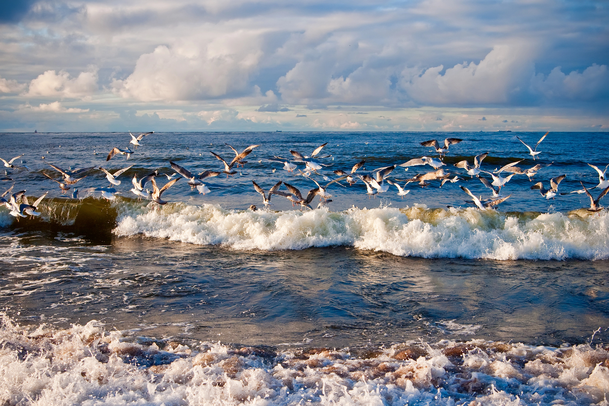 Велопрогулка вдоль Балтийского моря с экскурсией в Зеленоградске со скидкой 20%