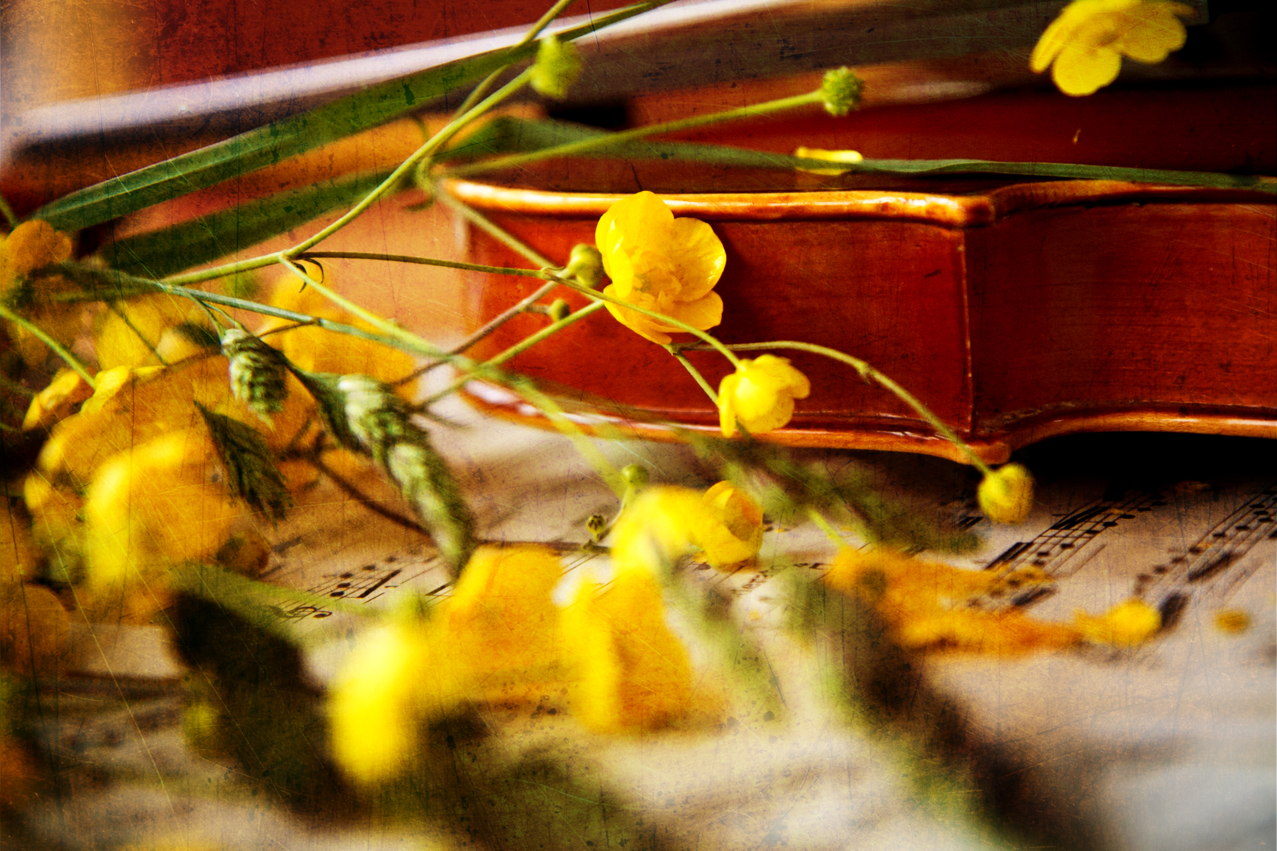 Концерт «Весеннее пробуждение. Бах, Моцарт, Бетховен, Шопен и другие» со скидкой 30%