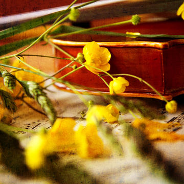 Концерт «Весеннее пробуждение. Бах, Моцарт, Бетховен, Шопен и другие» со скидкой 30%