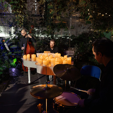 Концерт при свечах «Лаунж-джаз» в Оранжерее Таврического сада со скидкой до 40%