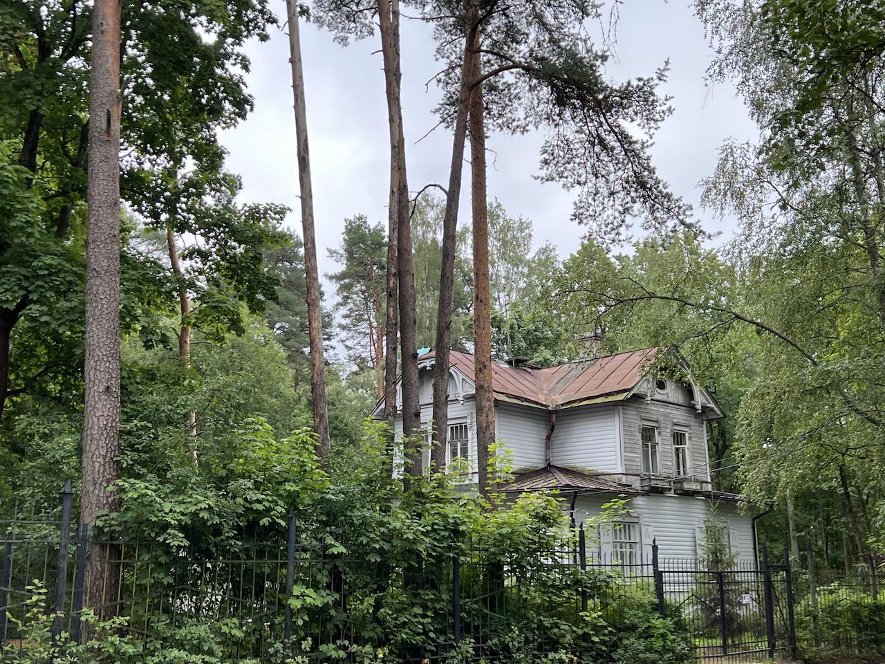 Однодневное путешествие в Репино и Комарово