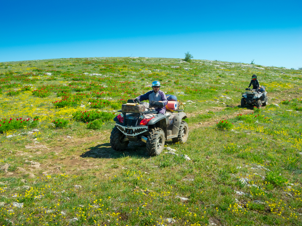 Квадротур в Массандре