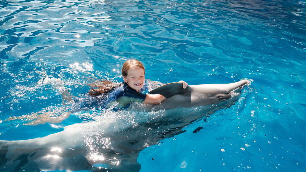 Дельфинарий в Стамбуле со скидкой 23%