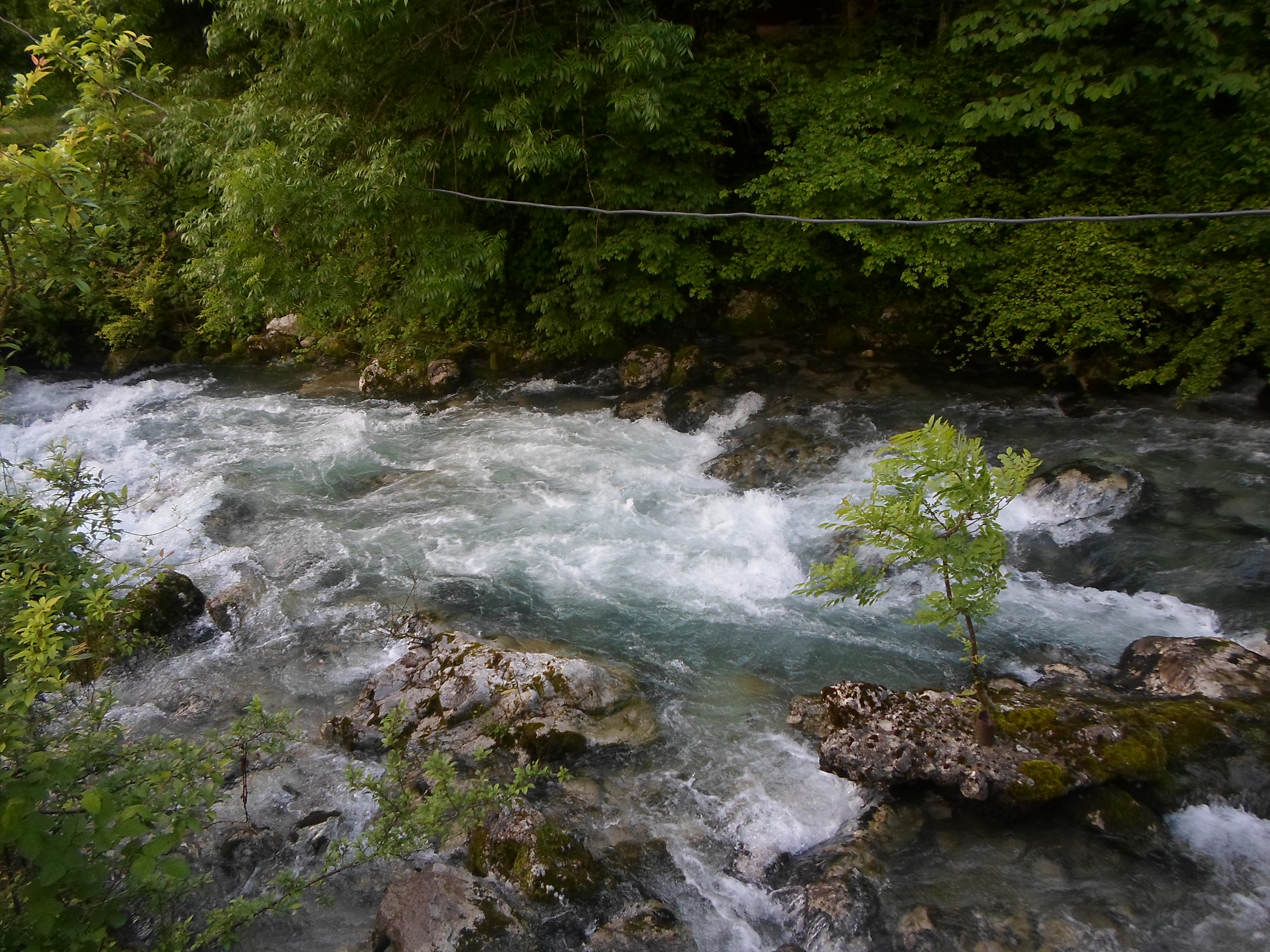 picture