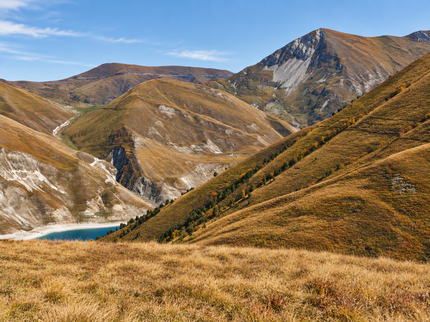 picture