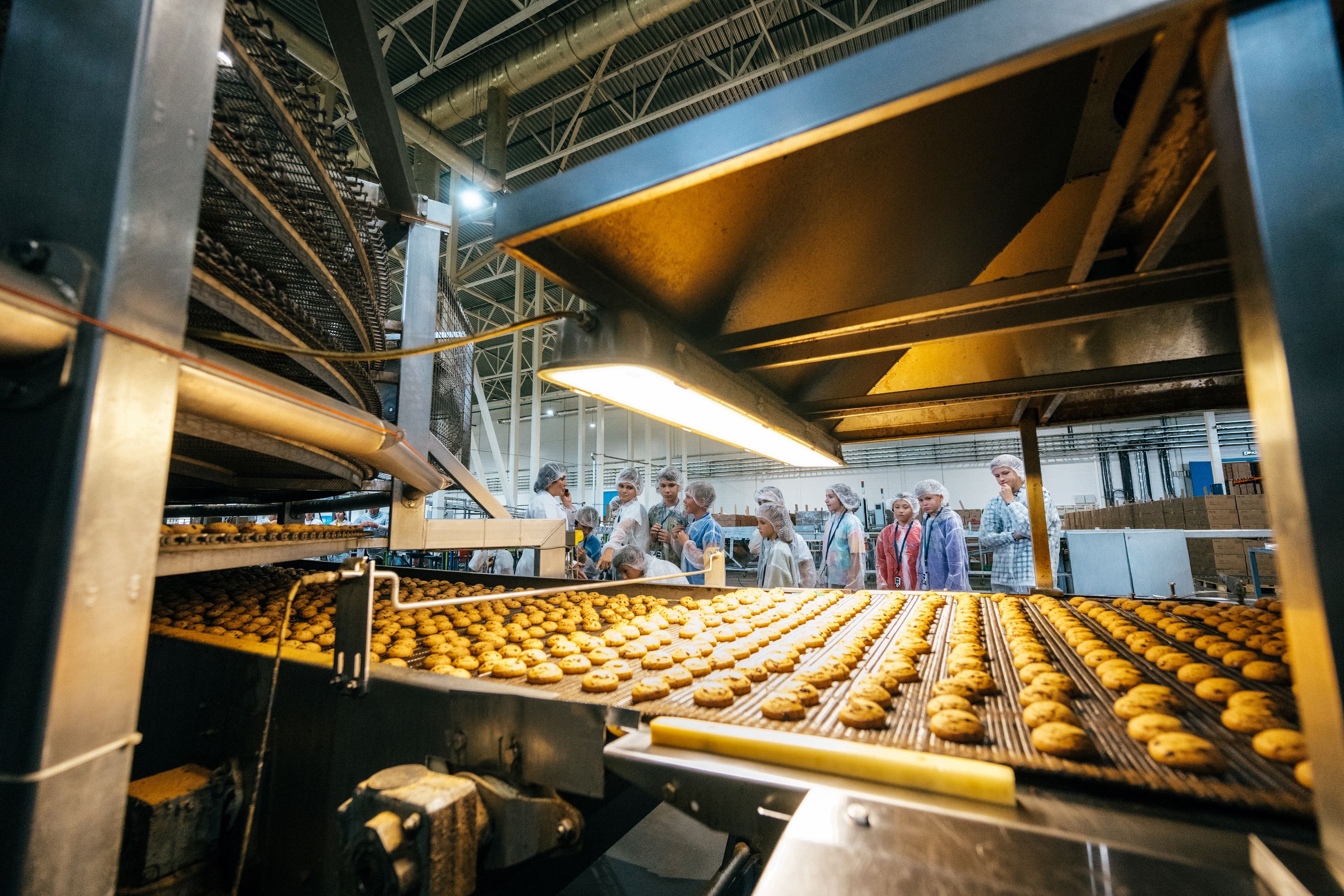 Экскурсия на кондитерскую фабрику «Любимый край» со скидкой 30%