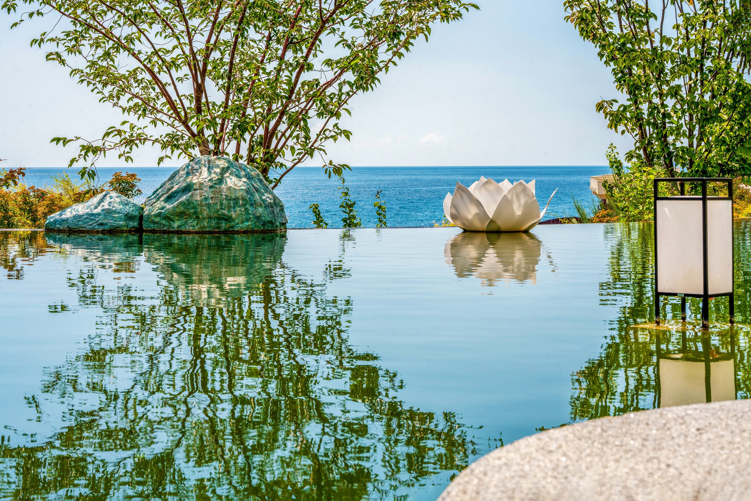 Экскурсия в Японский сад отеля Mriya Resort & SPA