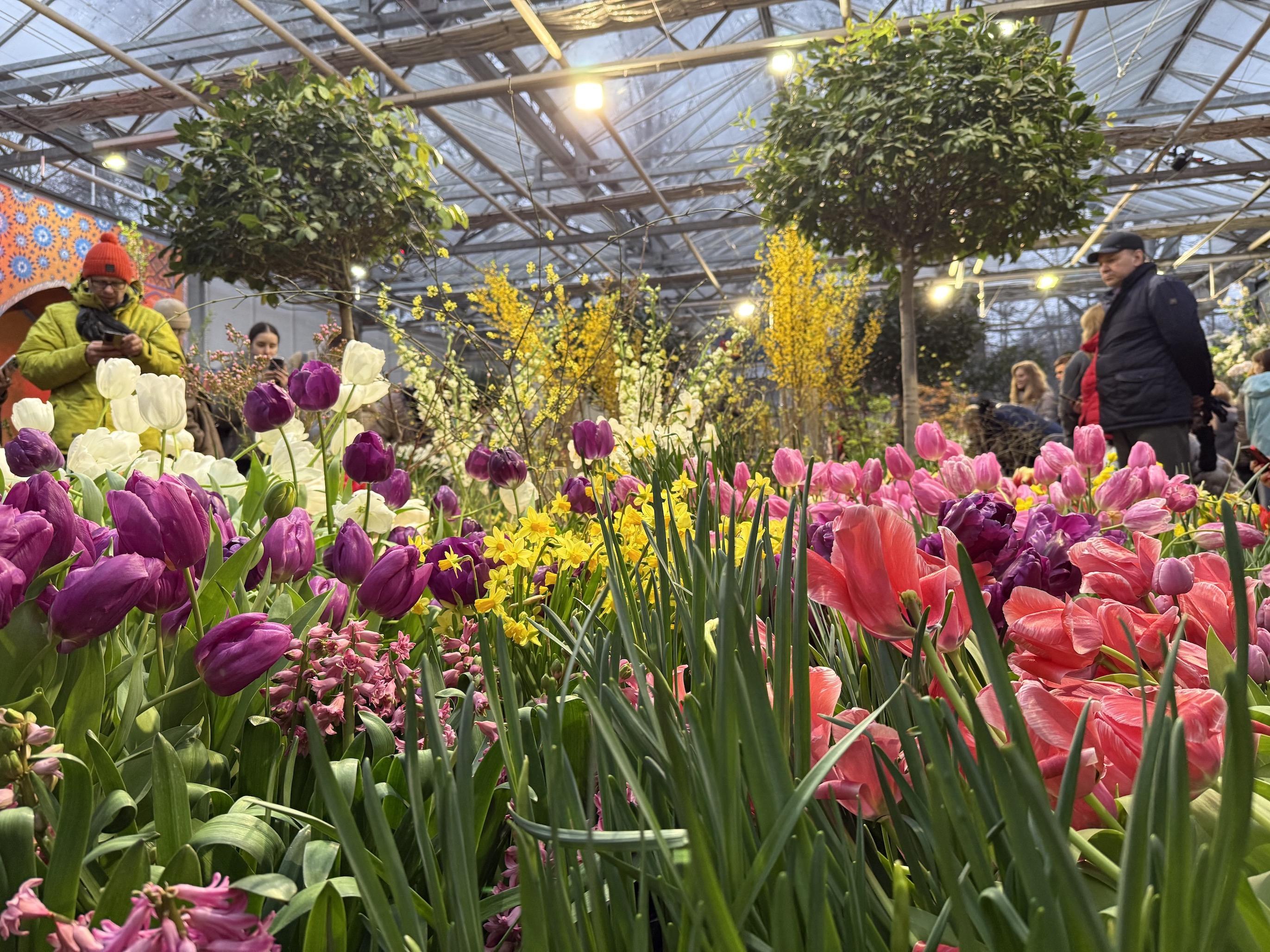 Лучшие оранжереи Москвы 2026: цены, режим работы, адреса