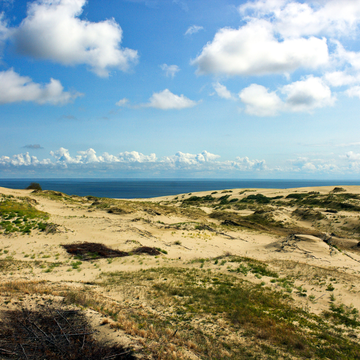 Автобусная экскурсия «Светлогорск и Янтарный» с обедом со скидкой 25%