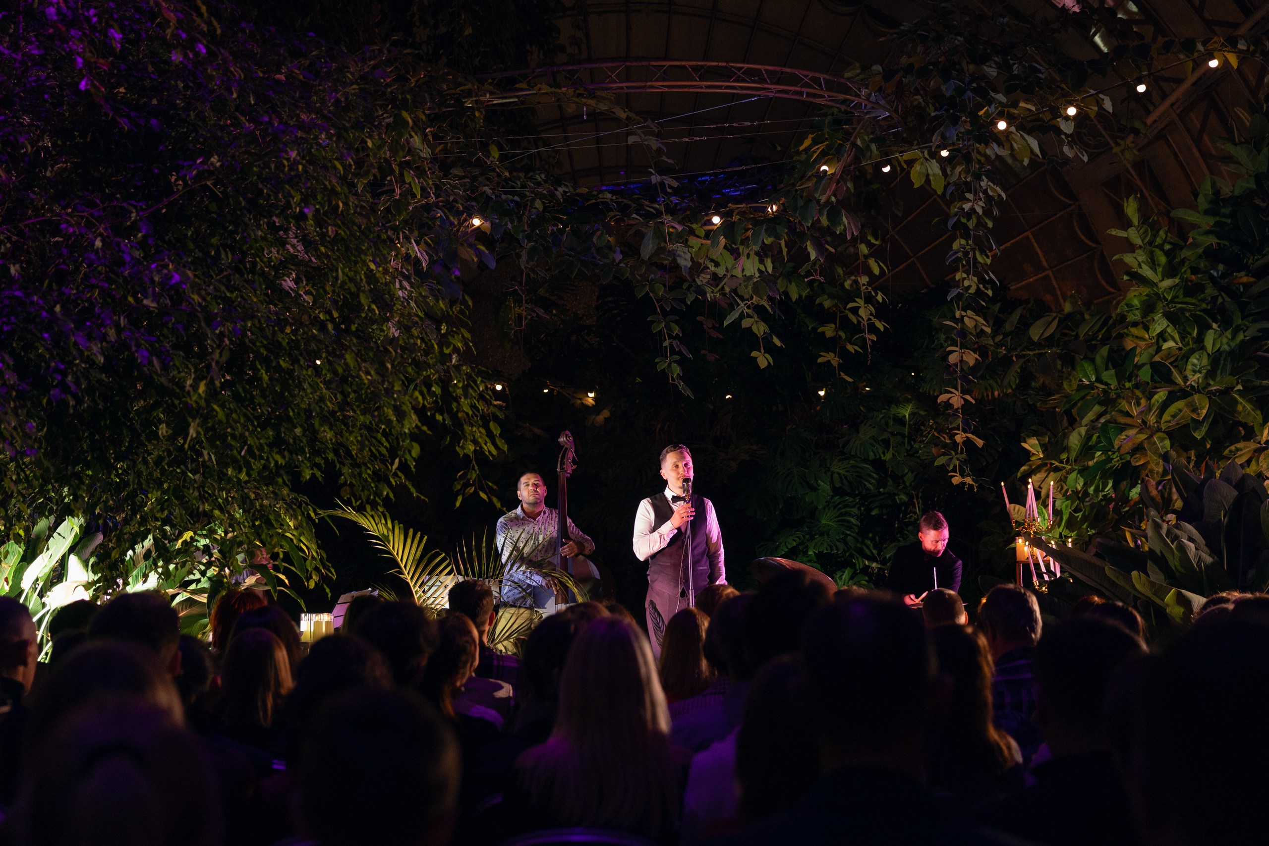 Концерт при свечах «Fly me to the moon. Джаз на луне» в Оранжерее Таврического сада со скидкой 30%