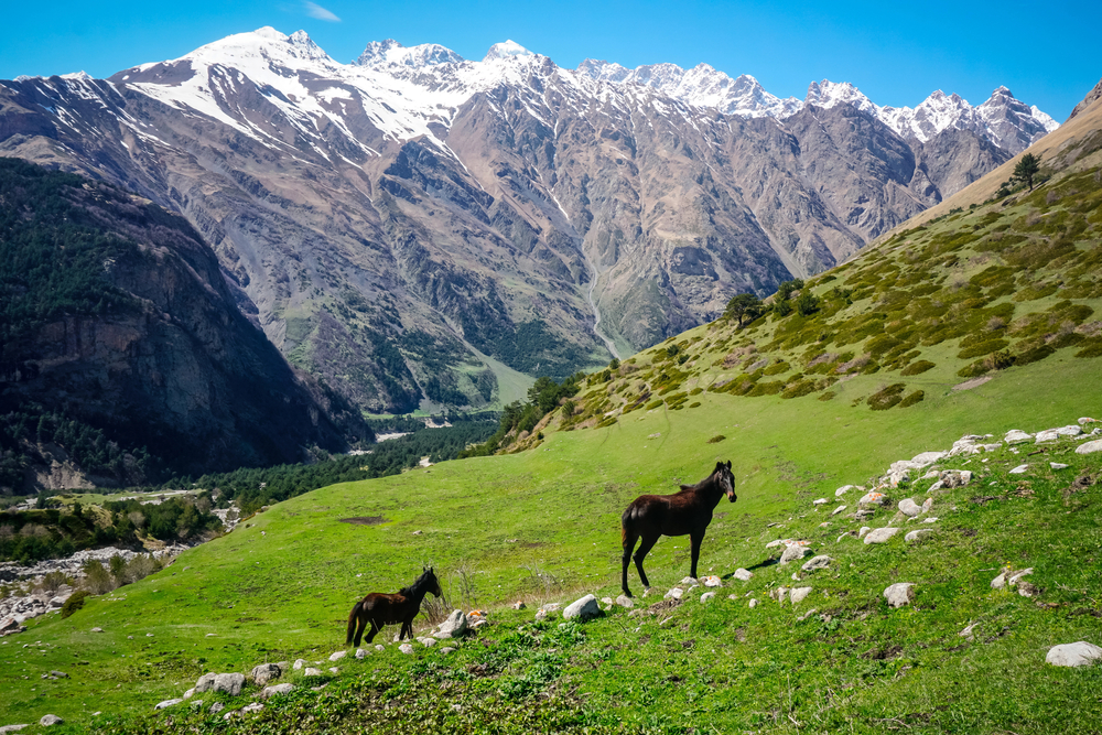 Однодневный тур в Гоор, Кахиб и Язык Тролля