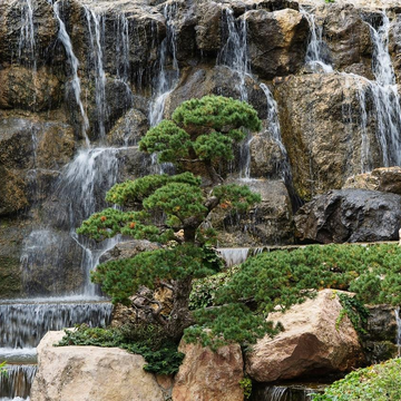 Экскурсия «Парк Парадиз»