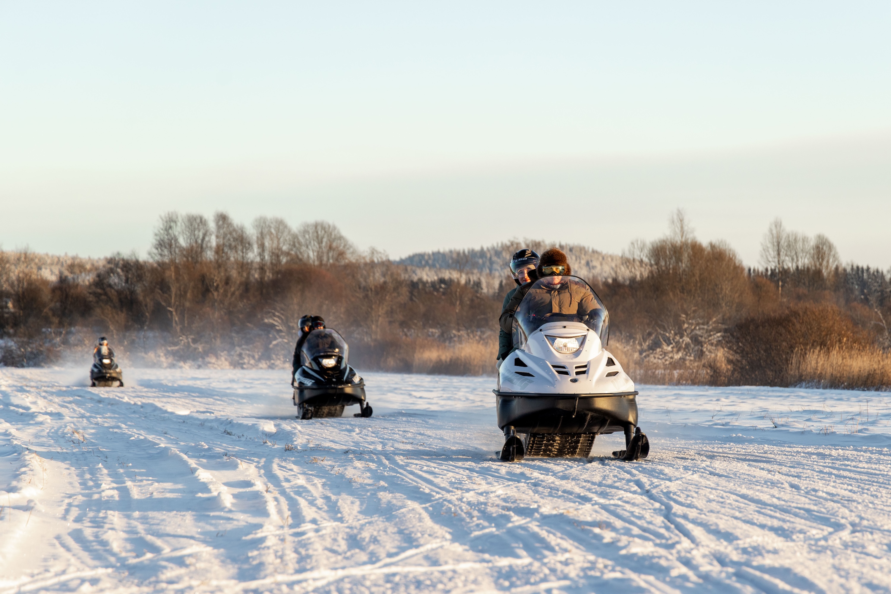 picture