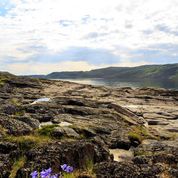 Однодневный тур в Кандалакшу со скидкой 20%