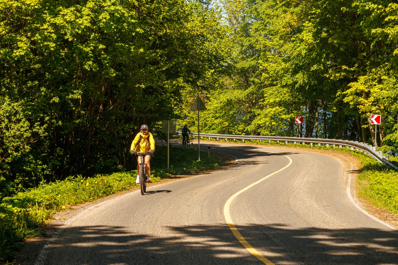 Велопрогулка вдоль польской границы с экскурсией в Черняховске со скидкой 20%