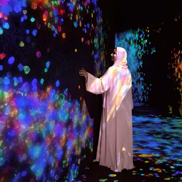 Экскурсия в галерею TeamLab Phenomena и мечеть шейха Зайда с входным билетом