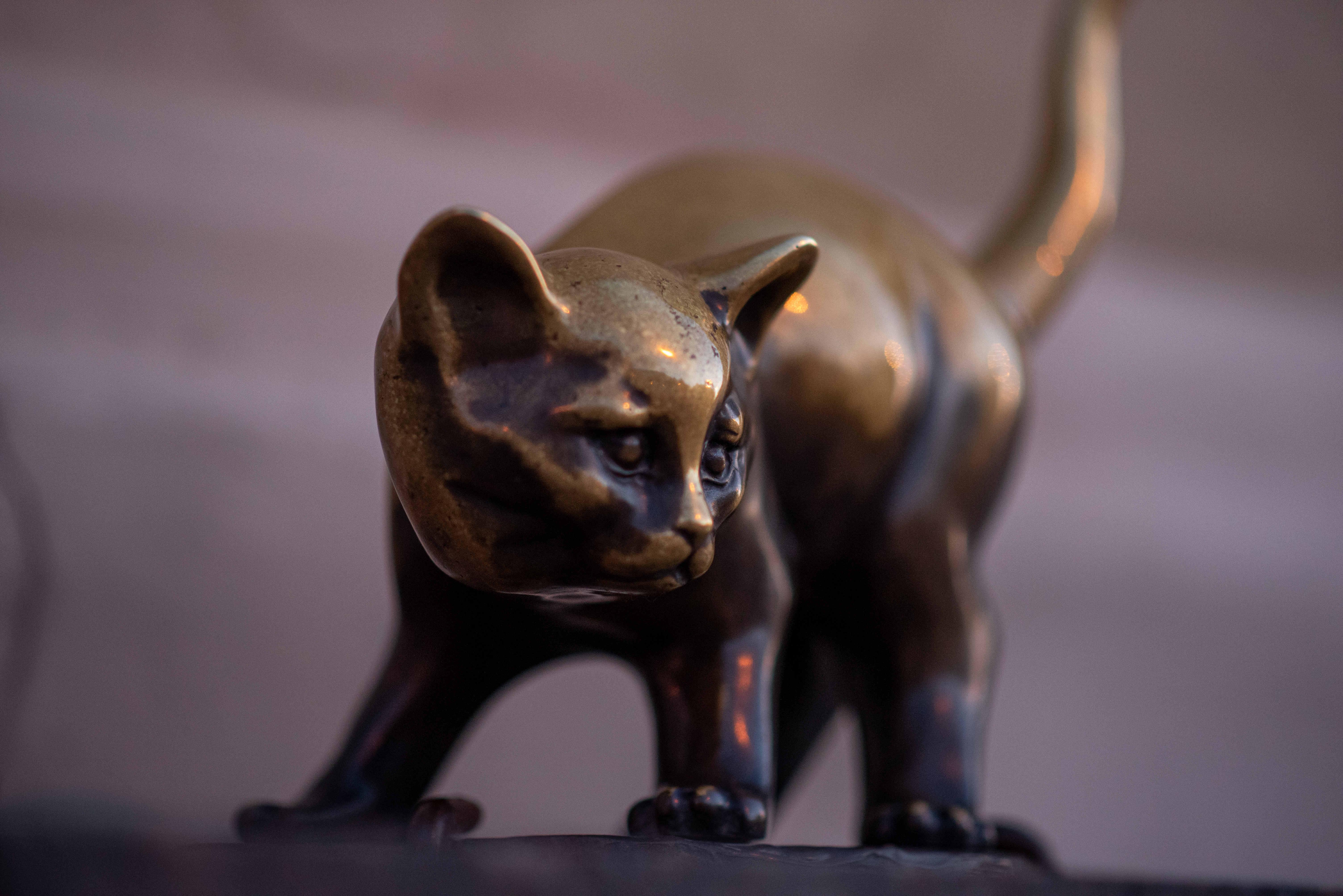 Памятники кошкам в Петербурге: фото и адреса