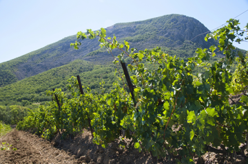 Экскурсии с дегустацией крымских вин со скидками до 15%